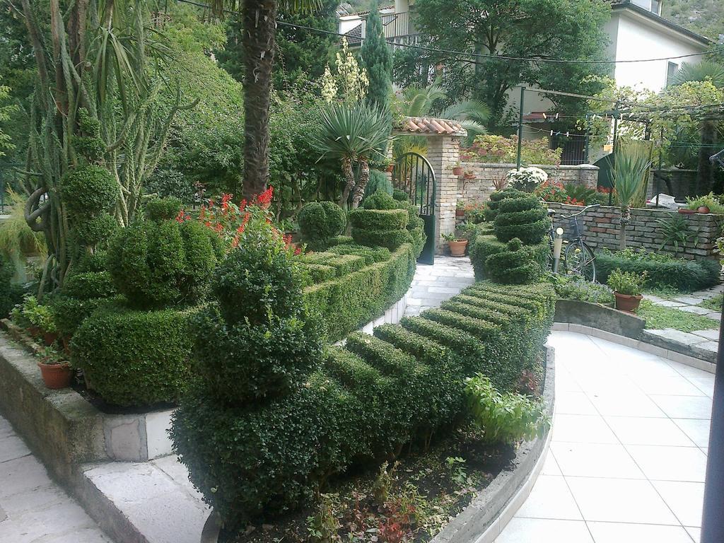 Apartment City Garden Kotor Værelse billede