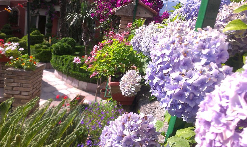 Apartment City Garden Kotor Værelse billede