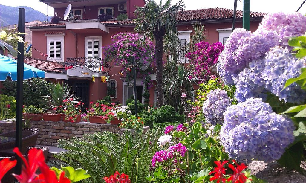 Apartment City Garden Kotor Værelse billede